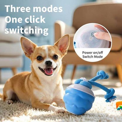 PawPulse™