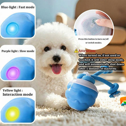 PawPulse™