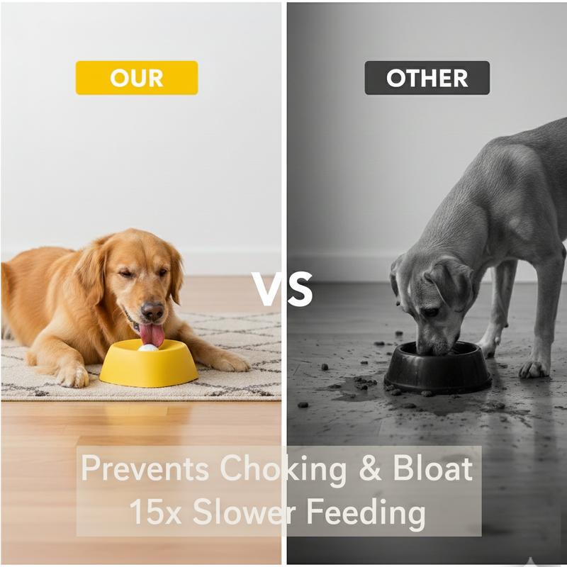 Spin-to-Eat Slow Feeder Bowl
